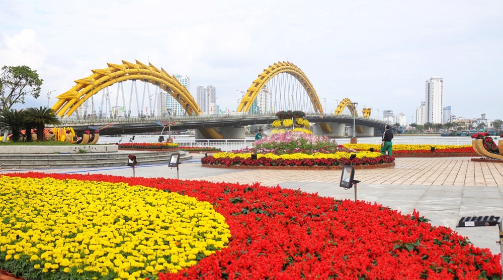 Hoa xuân rực rỡ, làm đẹp thêm khu bờ Tây cầu Rồng.